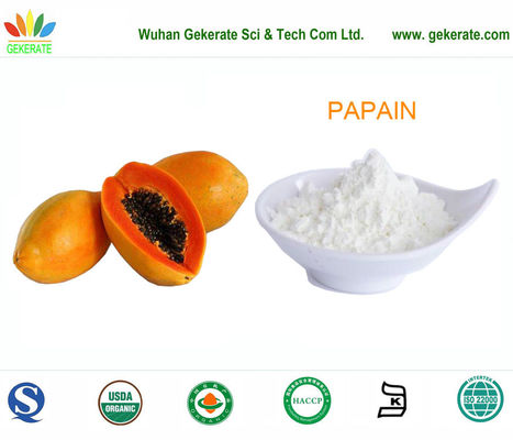 Papain έξοχη πρωτεάση αγνότητας που καθαρίζεται από papaya τα φρούτα, ένζυμα τροφίμων